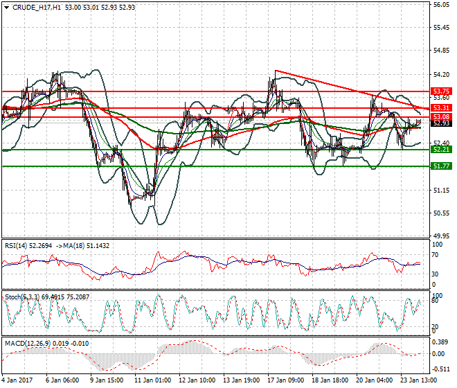 WTI Crude Oil Intra-day Analysis 24 January 2017