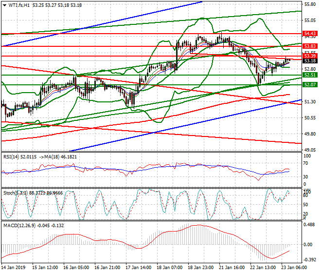 WTI Crude Oil Mid-day Analysis 23 Jan 2019