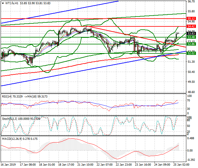 WTI Crude Oil Intra-day Analysis 25 Jan 2019
