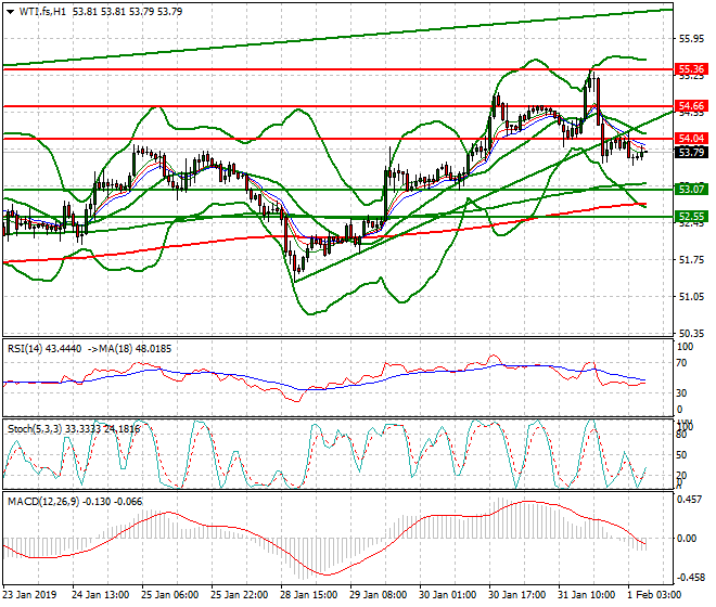 WTI Crude Oil Intra-day Analysis 01 Feb 2019