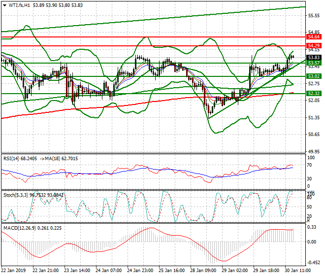 WTI Crude Oil Evening Analysis 30 Jan 2019