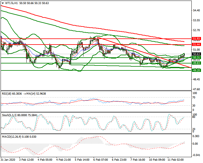 WTI Crude Oil Evening Analysis 11 Feb 2020