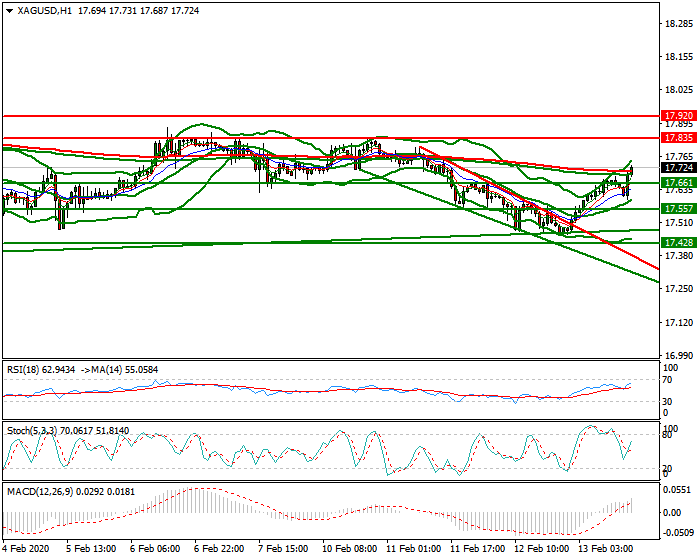 Silver Evening Analysis 13 Feb 2020