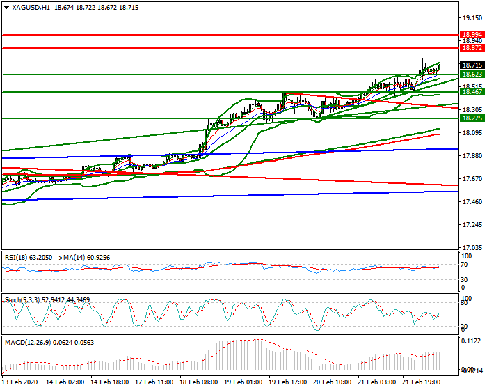 Silver Mid-day Analysis 24 Feb 2020