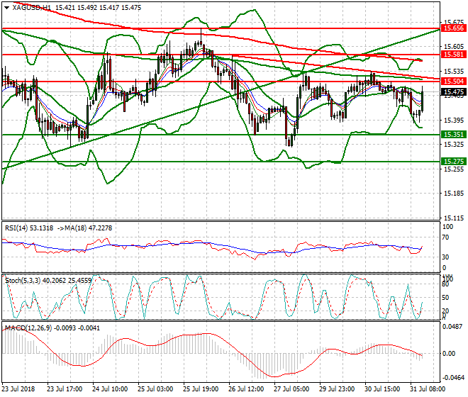 Silver Evening Analysis 31 July 2018